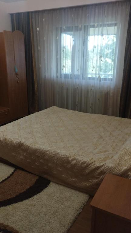 a bedroom with a large bed with a window at Calin in Surlari