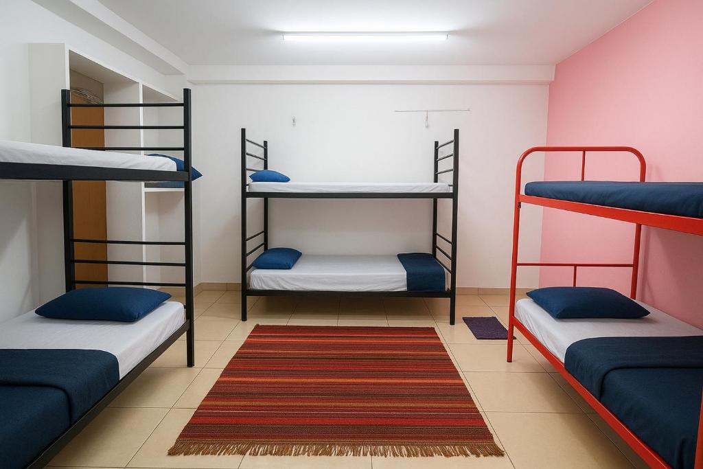 a room with bunk beds and a rug at SPIDEY's PITSTOP in Auroville