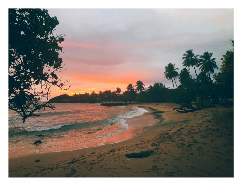 Příroda nedaleko apartmánu