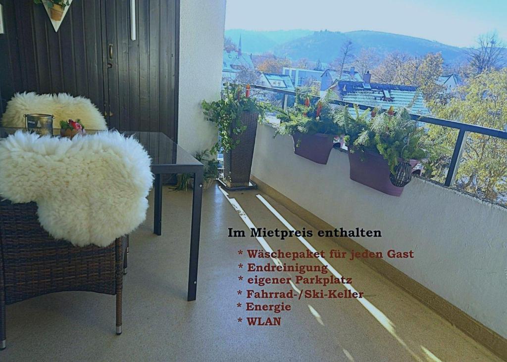 巴特哈尔茨堡Harz-Fewo-Wolf的一张阳台图片，旁边标注着植物的名称。