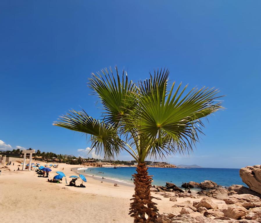 Φυσικό τοπίο κοντά σε αυτό το θέρετρο