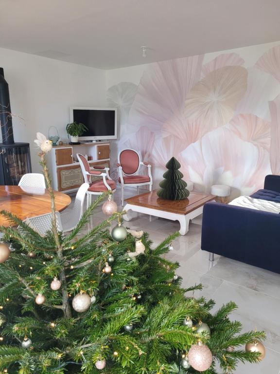 TV/trung tâm giải trí tại Maison de Coton Ty Koton