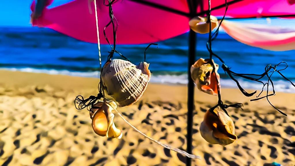 Παραλία σε ή κοντά σε αυτό το διαμέρισμα