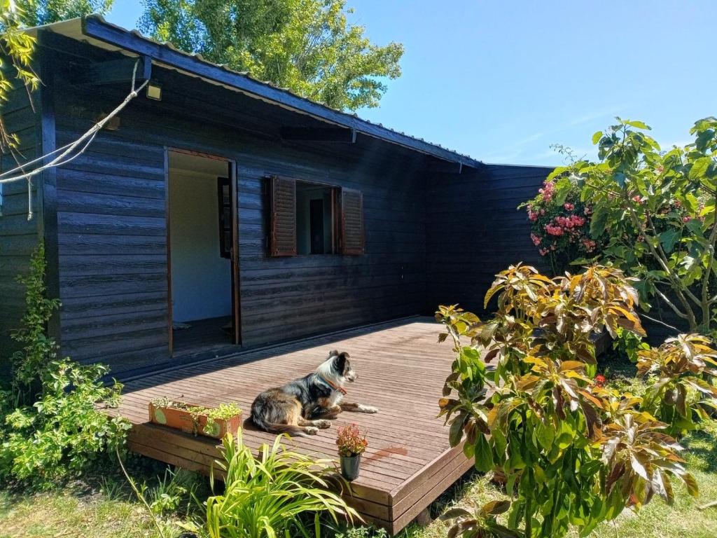 a dog laying on a deck in front of a house at Casa Nina in Camet Norte
