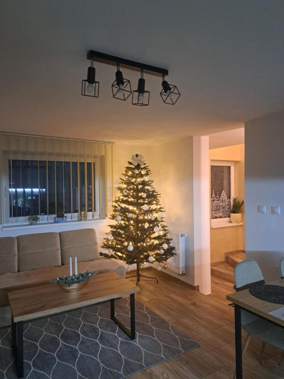 ein Weihnachtsbaum mitten im Wohnzimmer in der Unterkunft Ubytovanie u Karasa in Vitanová