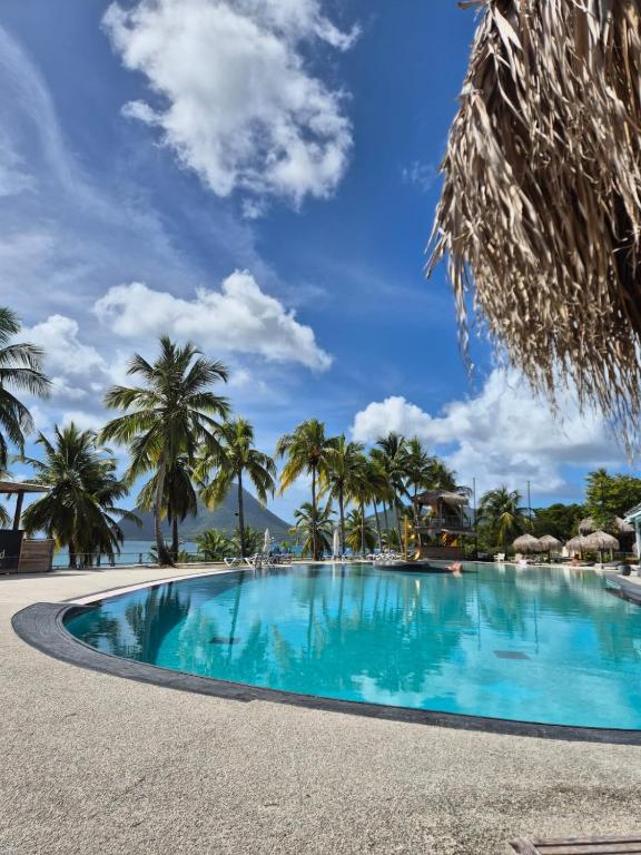 a swimming pool with palm trees and a blue sky at On Ze Rock in Le Diamant