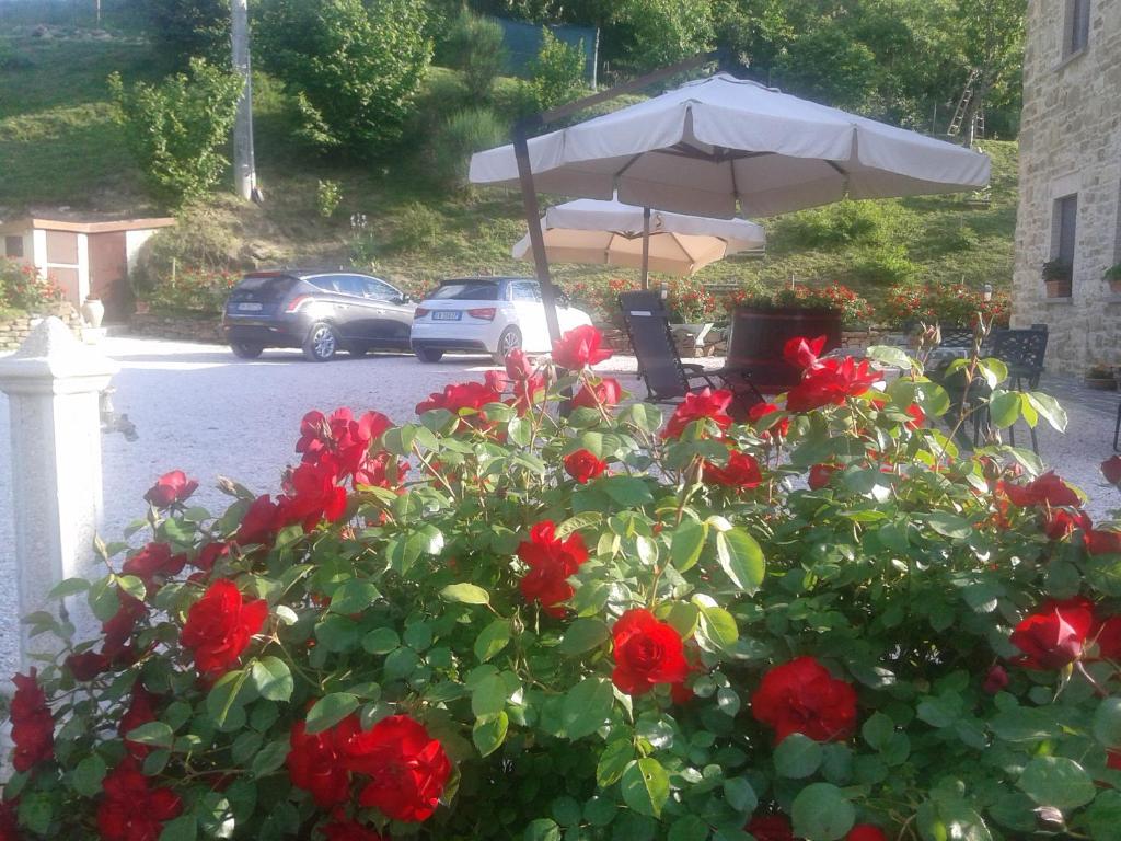 Zahrada ubytování B&B Monticelli