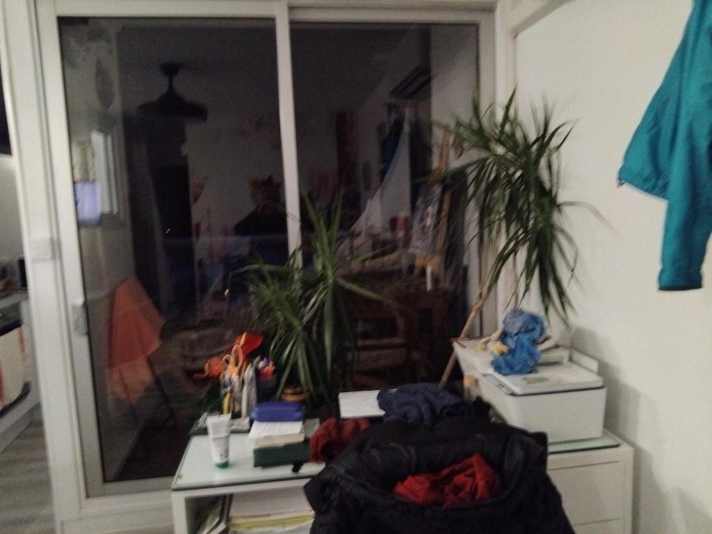 ein Zimmer mit Pflanzen, einem Tisch und einem Fenster in der Unterkunft Petit nuit doullet in La Grande-Motte