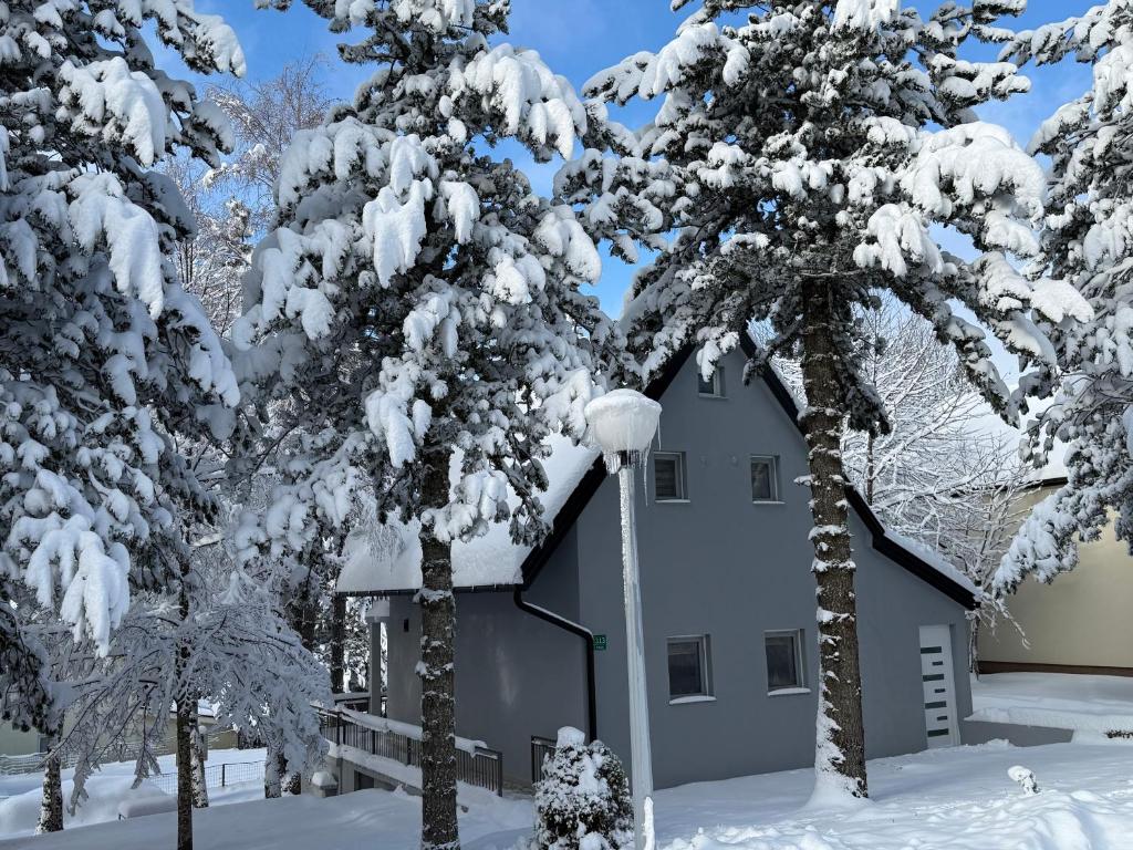 Το Pineta Blidinje τον χειμώνα