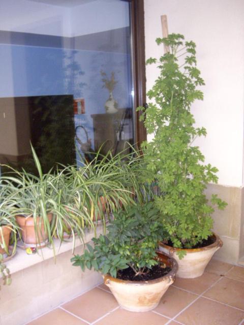 Jardín al aire libre en Casa Rural Rojanda