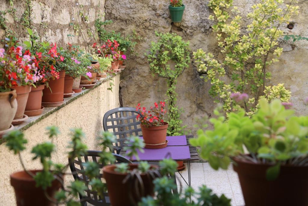 une table violette avec des plantes en pot sur un mur dans l'établissement Terrasse fleurie, à Pézenas