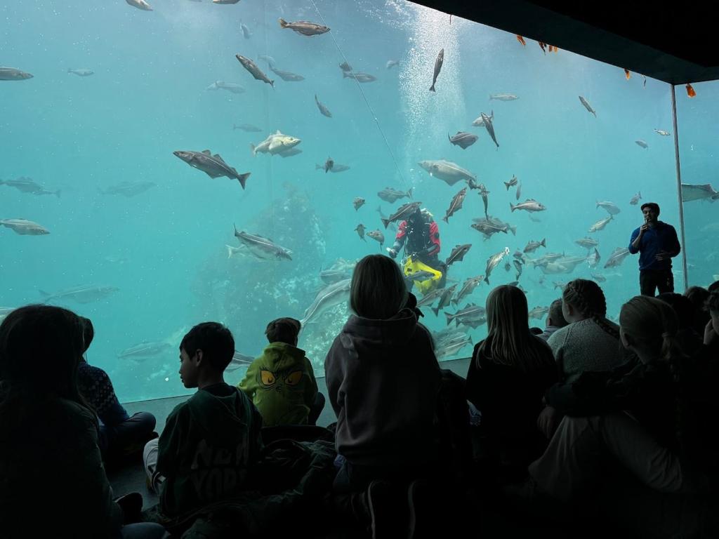 Επισκέπτες που μένουν στο Art Nouveau in the middle of downtown Ålesund