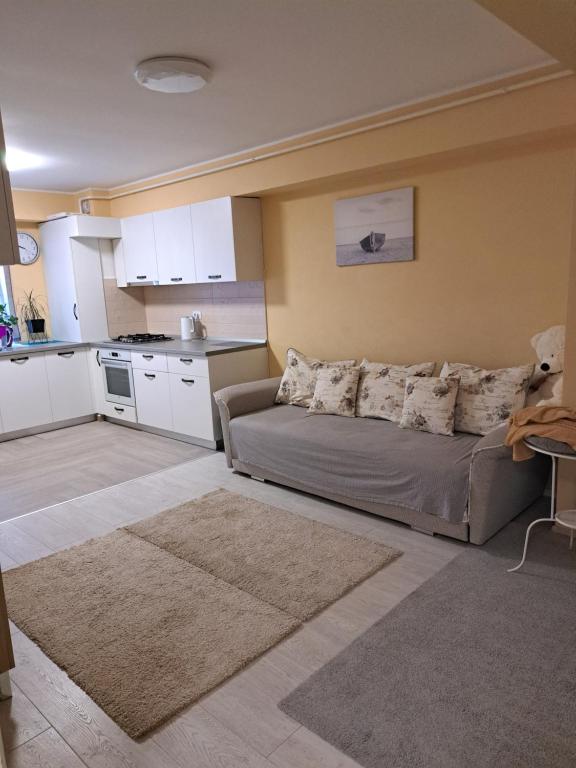 een woonkamer met een bank en een keuken bij Fiald Apartamente New in Bacău