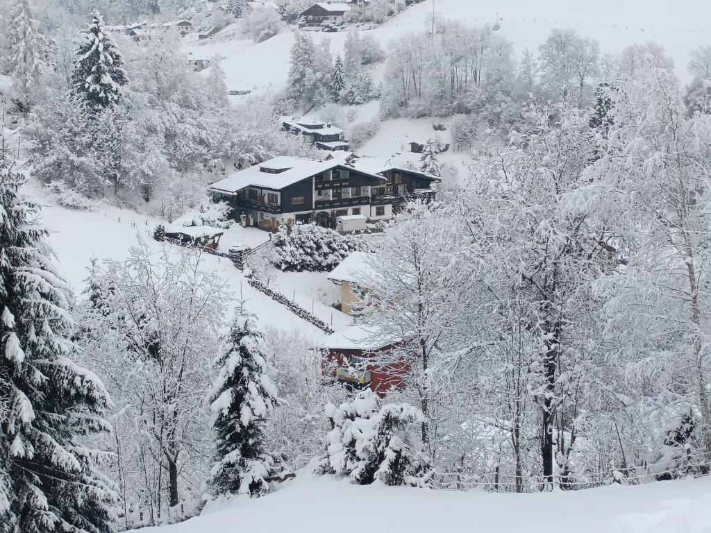 Bergvilla Vivaldi - Happy Mountain Vibes зимой