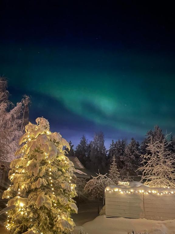 a christmas tree covered in lights in a yard at Arctic Circle Guesthouse in Rovaniemi