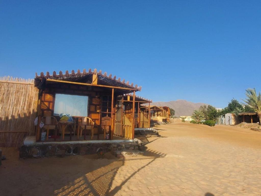 Příroda nedaleko rezortu