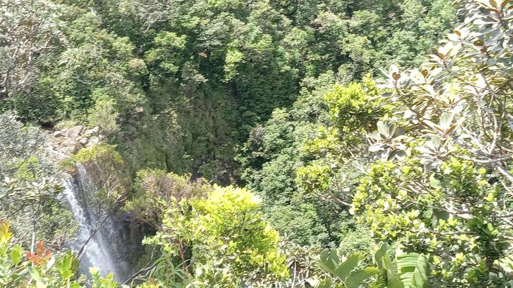 una cascada en medio de un bosque en Beautiful 3 bedrooms house close to Airport, en Grand Bois