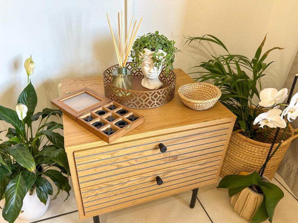 a wooden table with plants on top of it at Secret Eden in Jeffreys Bay