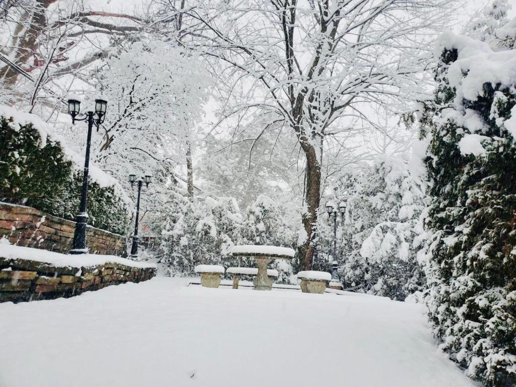 Cottage like home in Toronto trong mùa đông