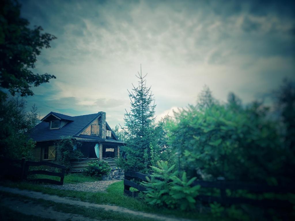 een klein huisje midden in een tuin bij Nowy Gaj in Wilczyn