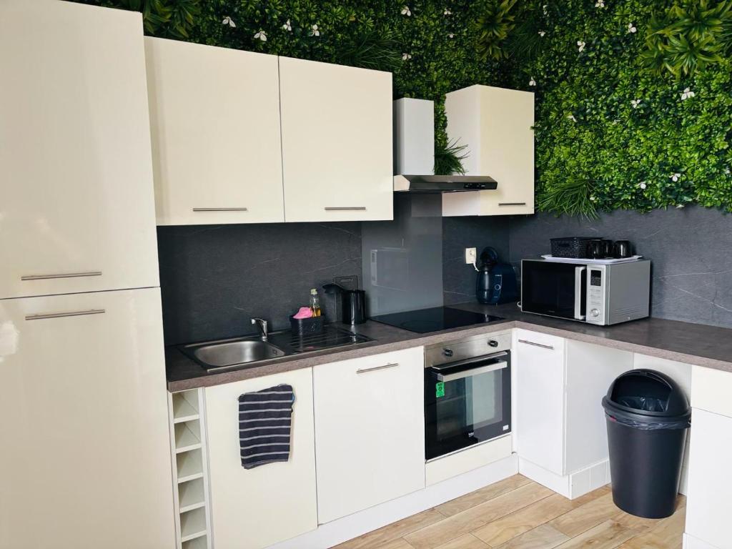 O bucătărie sau chicinetă la Appartement cosy LYON