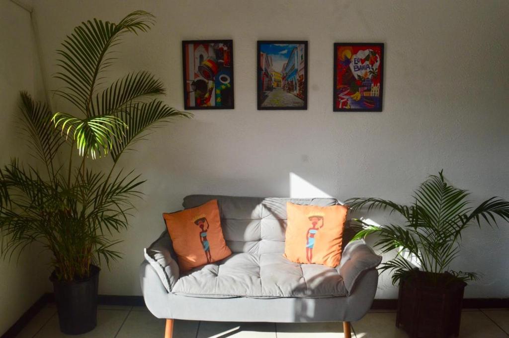 eine Couch in einem Wohnzimmer mit zwei Pflanzen in der Unterkunft Rudá Hostel in Itacaré