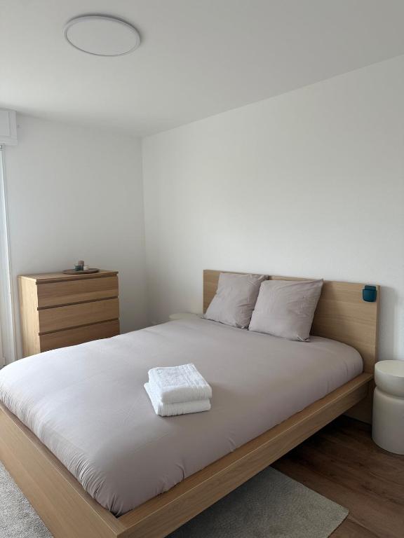 Newly renovated Private Parking Wifi in Mulhouse – photo 18