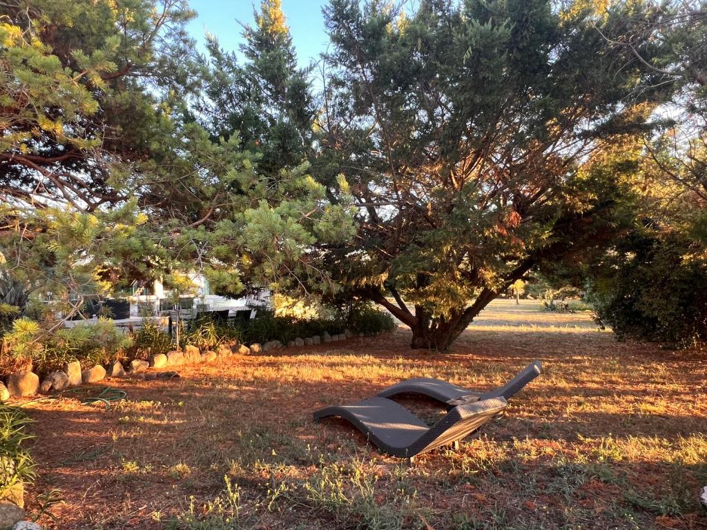 Κήπος έξω από το Magnifique chalet cosy