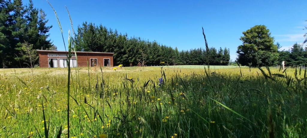 库拉考廷Cabaña 4 Acogedora en un entorno natural的田野里有一座小房子，周围环绕着青草和鲜花。