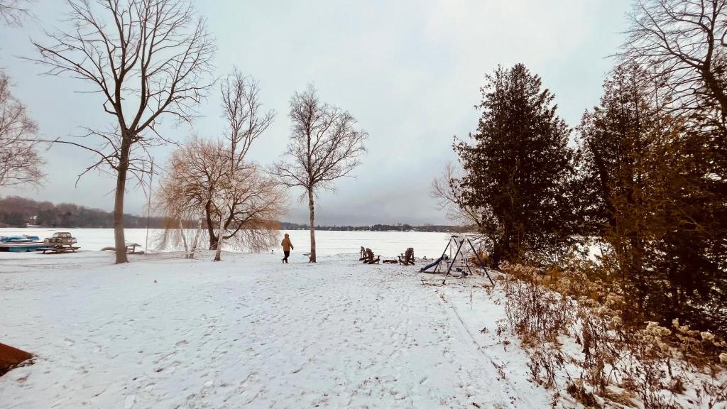Naturlandskabet i nærheden af villaen