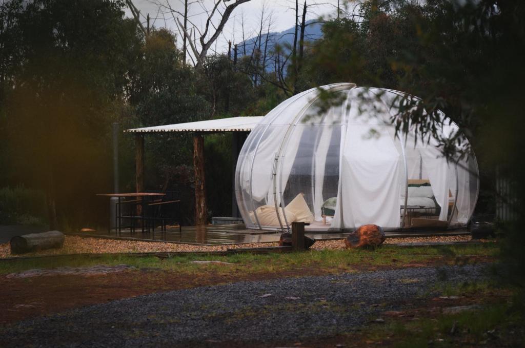 Una carpa de cúpula blanca colocada en el césped en Bubble Hotel, en Coonabarabran