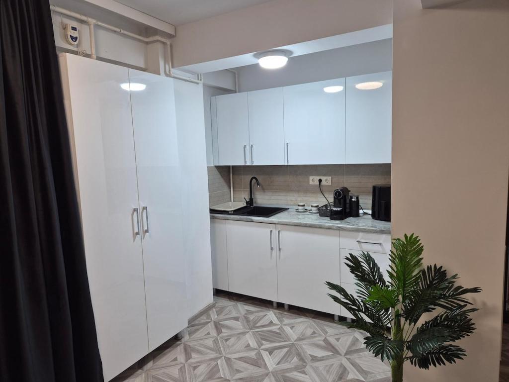 a kitchen with white cabinets and a potted plant at studiou central in Târgu Jiu