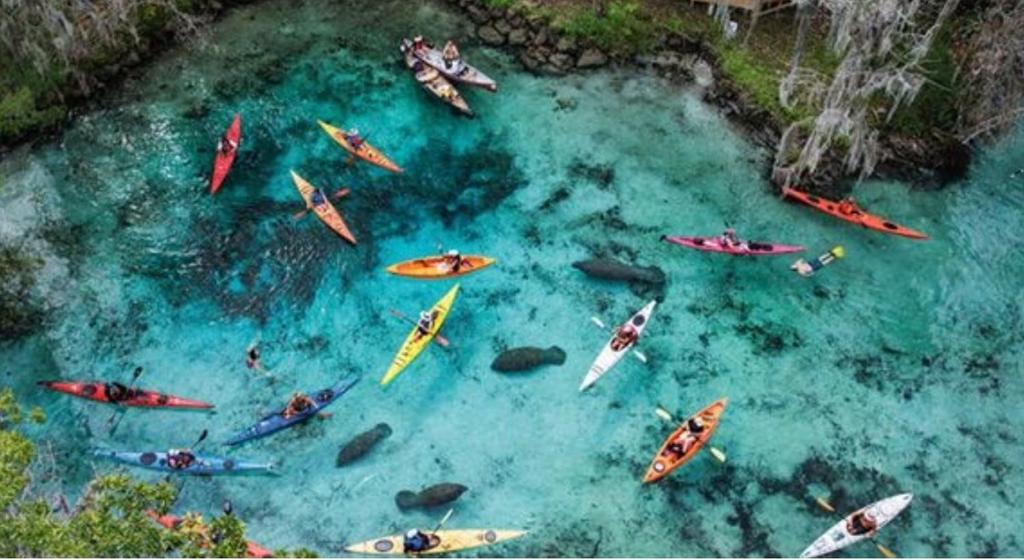 Φυσικό τοπίο κοντά σε αυτό το διαμέρισμα