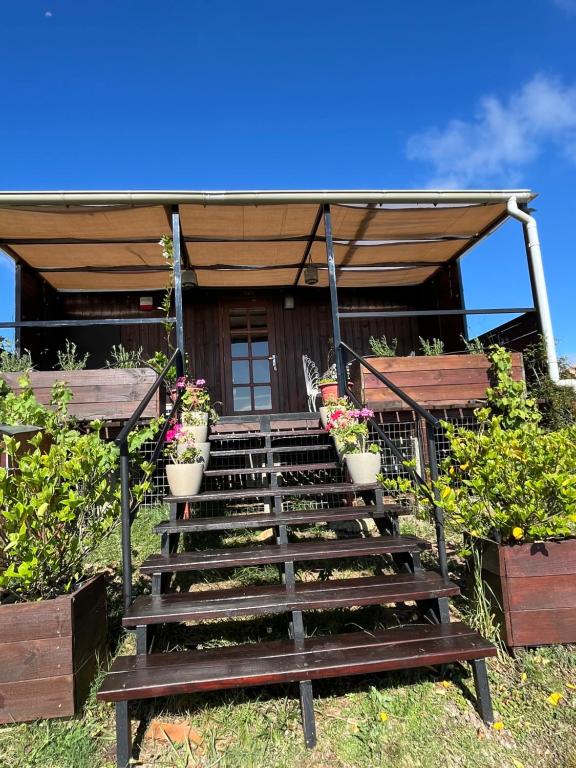 una rampa di scale con piante in vaso di fronte a una casa di Granja Penitente a Minas