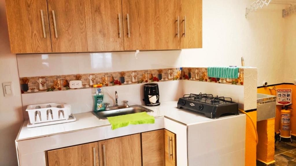 BuenavistaKira Apartahotel的一个小厨房，里面有水槽和炉灶。