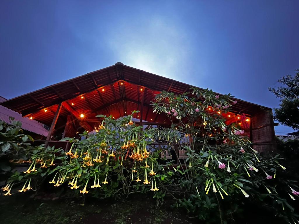 Κήπος έξω από το Chalet Zen Bella Vista