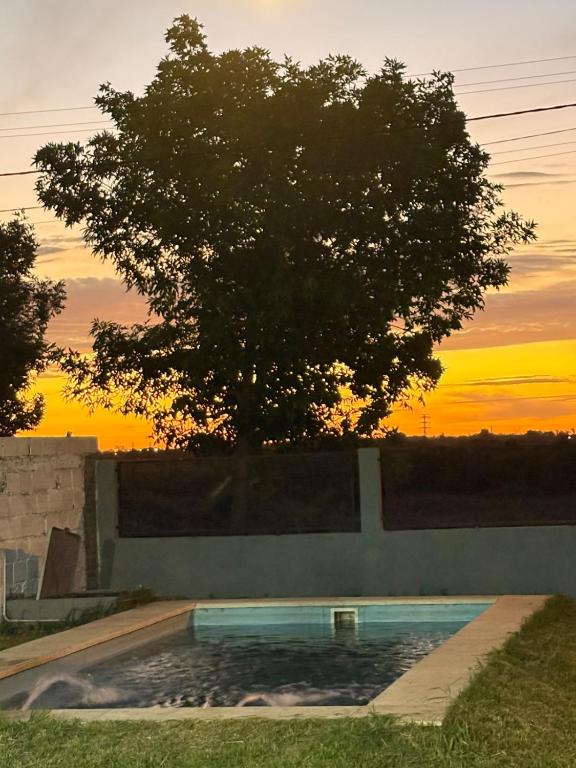 a tree and a swimming pool with the sunset in the background at Descanso LA MARTA in Pueblo Esther
