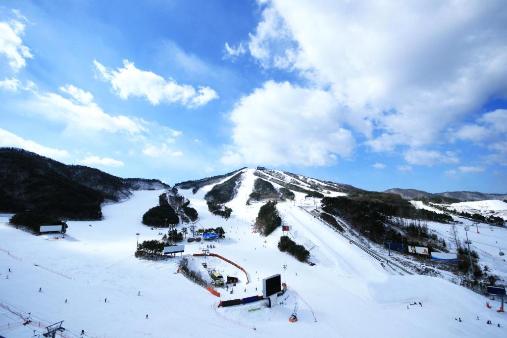 HoengseongWellihilli Park Resort的雪覆盖的山,设有滑雪坡和滑雪缆车