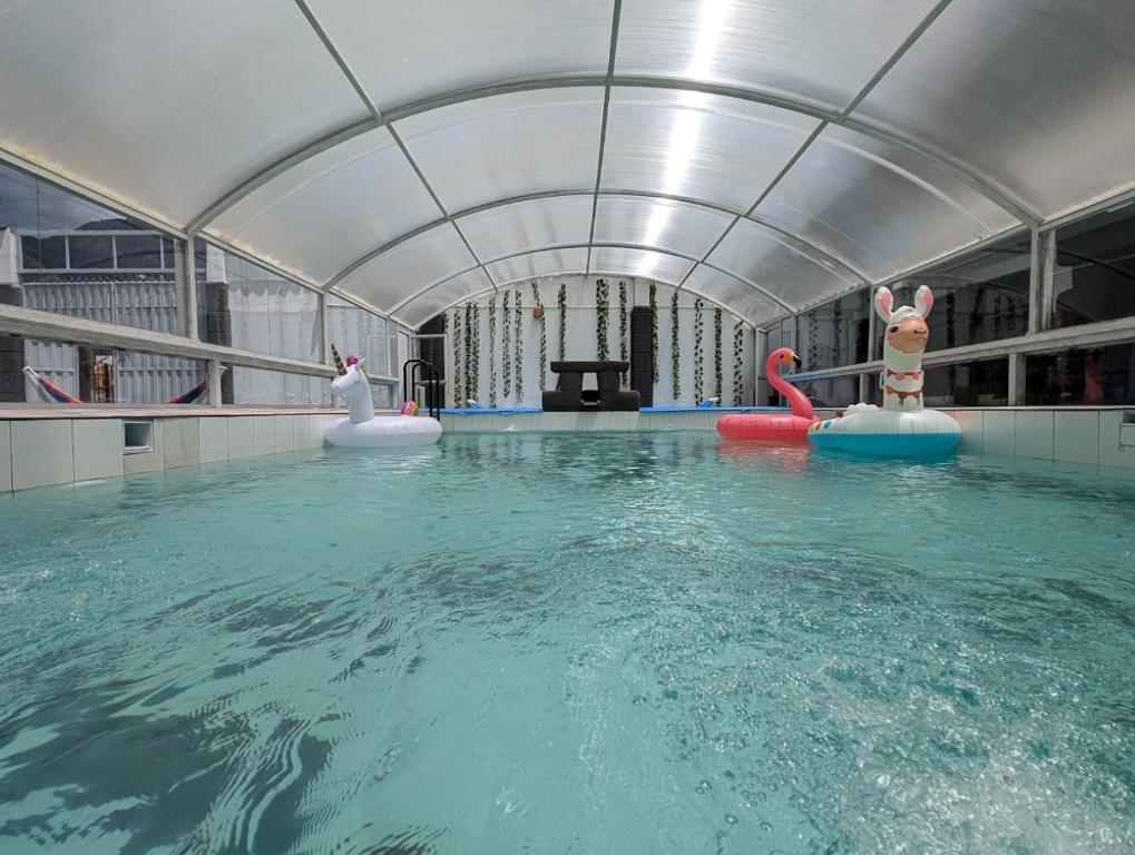 einen Pool mit aufblasbaren Tieren im Wasser in der Unterkunft Hana'q Hostel en el Valle sagrado, junto al rió Vilcanota in Urubamba