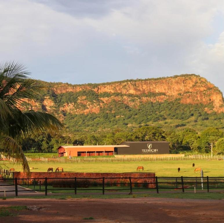 a barn with horses in a field in front of a mountain at Chalé em Frente ao Terroir Pantanal in Aquidauana