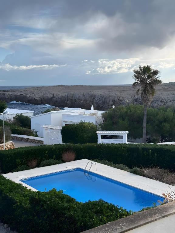 een zwembad voor een huis met een palmboom bij Duplex Laura in Punta Grossa