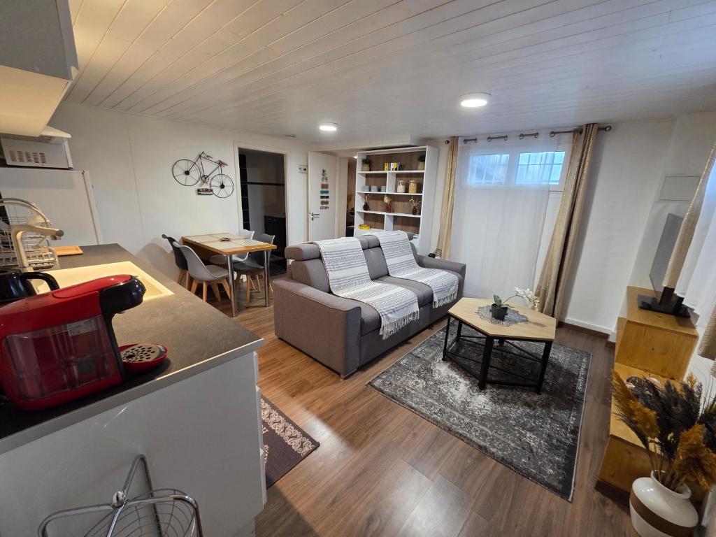 ein Wohnzimmer mit Sofa und Tisch in der Unterkunft Appartement 2 pièces près du lac de Bouzey in Sanchey