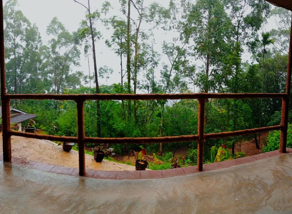 Una vista de un bosque desde el interior de un edificio. en Ravan Pine Nature Retreat, en Ella