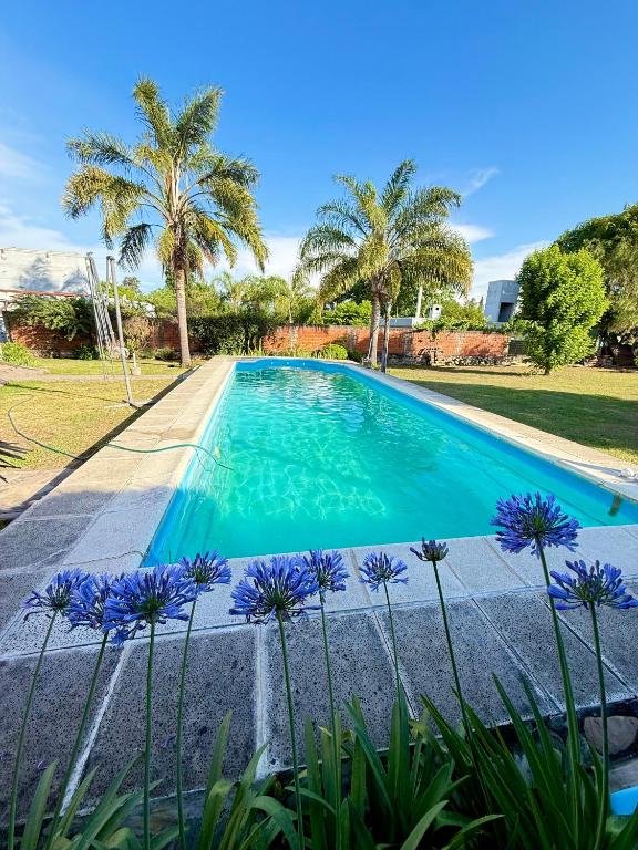 a swimming pool with palm trees and purple flowers at Cabaña in Vaqueros