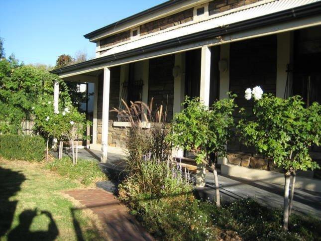 a house with trees on the side of it at Maylands Cottage in Evandale