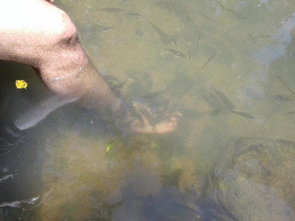 Sigiriya River Side Resort - 5