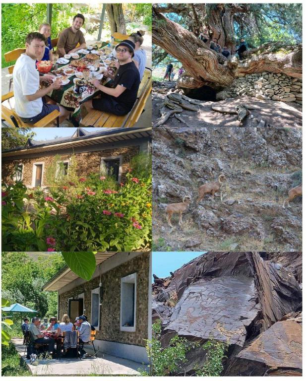 a collage of photos of people sitting at a table with a deer at Firdavs guest house with mountainiring horse camel riding and hiking services in Yukary-Ukhum