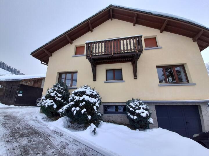 ⁂⁂ GITE LE PRES AU CERF [CLEDICIHOME] 2 steps from the LISPACH resort // PRIVATE toboggan run! SNOWSHOE DEPARTURE ⁂⁂ v zimě