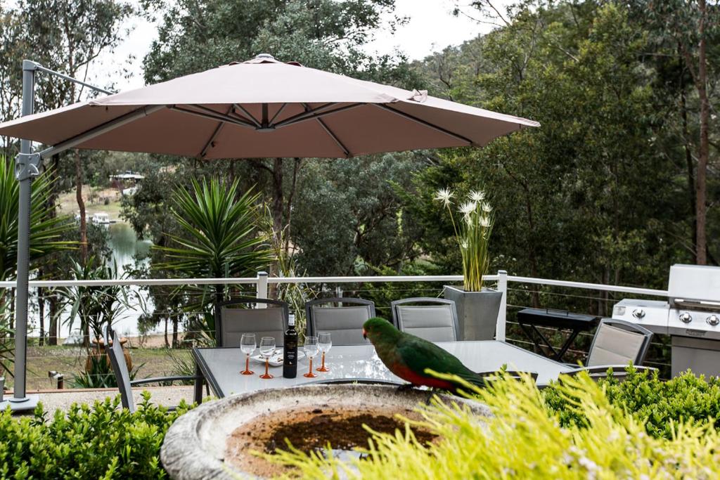 a bird sitting on a bird bath with an umbrella at Devinegetaway in Eildon