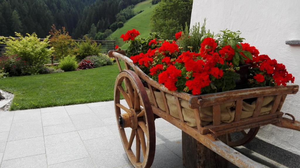 Vonkajšia záhrada v ubytovaní Apartment CANUS - Krumas Living - Kronplatz